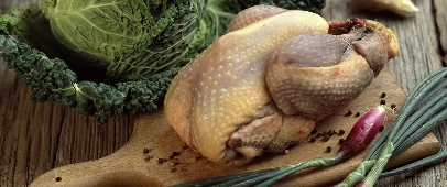 Guinea Fowl image